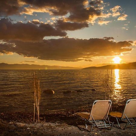 فيلا Karnagio Seafront In Agria Káto Lekhónia المظهر الخارجي الصورة