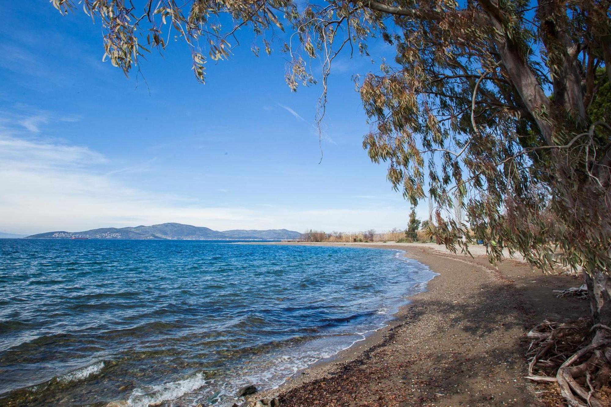 فيلا Karnagio Seafront In Agria Káto Lekhónia المظهر الخارجي الصورة